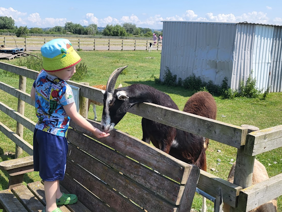 Doniford Bay Farm