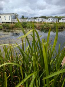 Lots to do at Doniford Bay