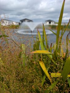 Lots to do at Doniford Bay