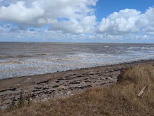 Lots to do at Doniford Bay