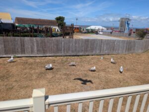 Lots to do at Doniford Bay